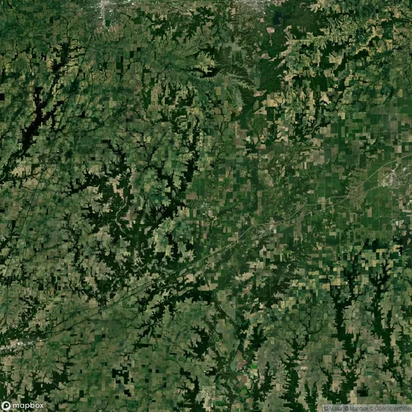 Aerial view of a landscape with a mix of dense green forests and agricultural fields forming a patchwork pattern. Roads and a body of water are visible.