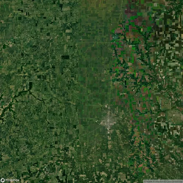 Satellite image showing a patchwork of green fields with a small urban area in the center, surrounded by dense vegetation on the left and patchy greenery on the right.