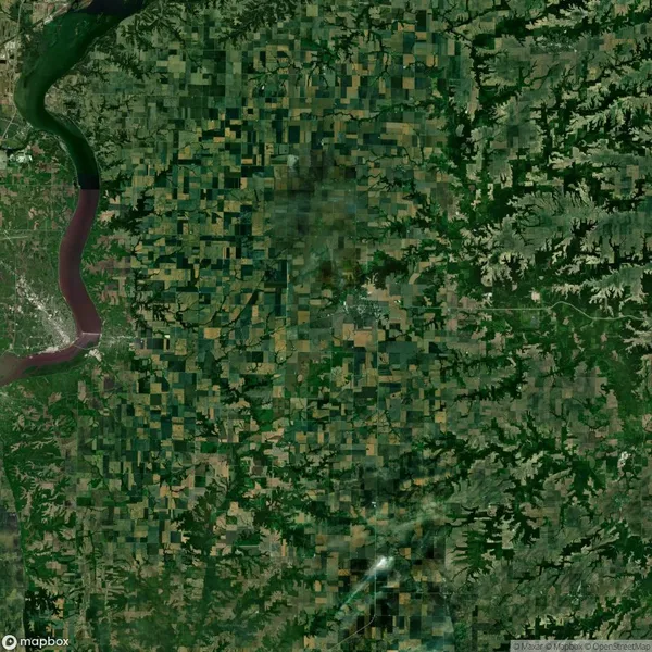 Satellite view of agricultural fields and a river bordering a lush, forested area.