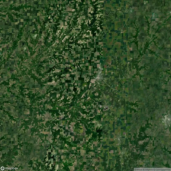 Satellite view of a landscape with a mix of forested areas and agricultural fields, showcasing natural and cultivated land patterns.