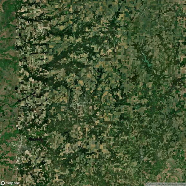Satellite view showing agricultural fields, roads, and patches of forested areas in a rural landscape.