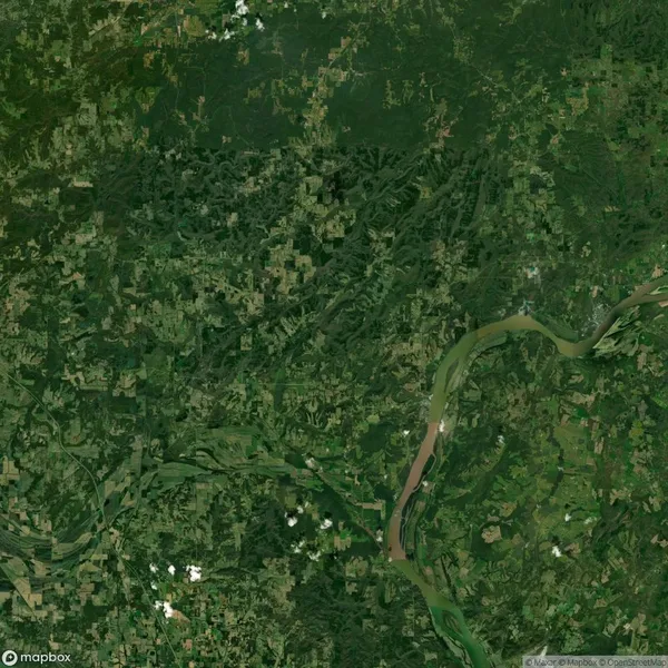 Satellite image showing a lush green landscape with a large river meandering through. Various fields and patches of forest are visible, along with some small clouds.