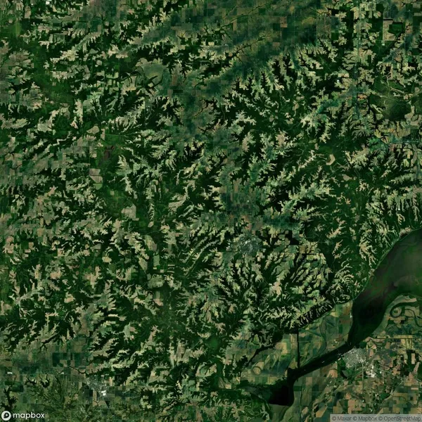 Satellite image showing a densely forested landscape with irregular patterns of green vegetation and a river flowing through the lower right corner. Sparse development is visible.