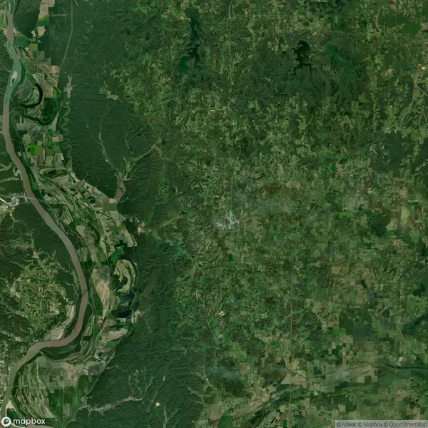 Satellite image showing a landscape with a winding river on the left, dense green forest, and patchwork farmland on the right.