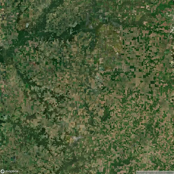 Aerial view of a vast patchwork landscape with varying shades of green and brown, showing agricultural fields and small areas of forest.
