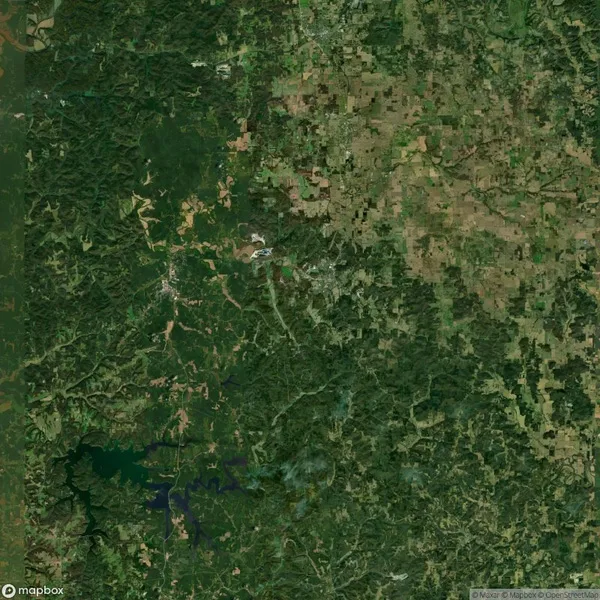 Satellite view of a forested area with a mix of dense greenery and patches of farmland. A lake is visible in the bottom left corner.