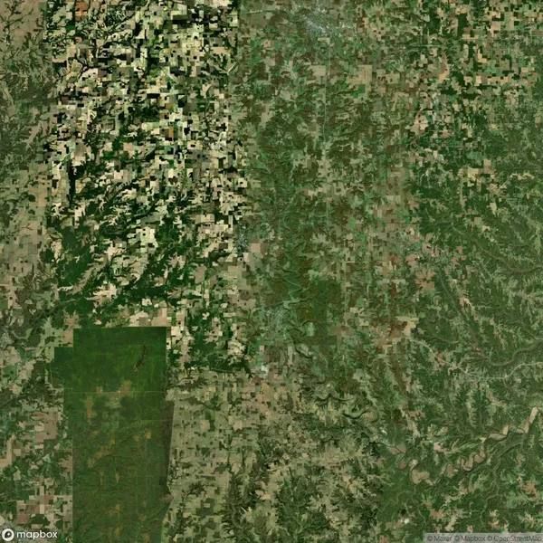 Aerial view of landscape showing a patchwork of farmland and forest areas, with a dense tree region on the right and a more open, cultivated area on the left.