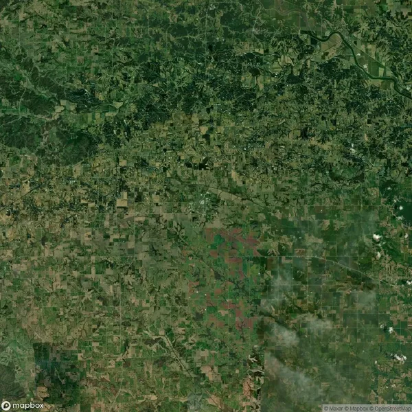 Satellite view showing a patchwork of agricultural fields, roads, and vegetation with varying shades of green and brown.