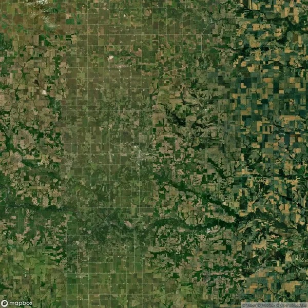 Aerial view of a rural landscape with a grid pattern of agricultural fields and patches of trees.