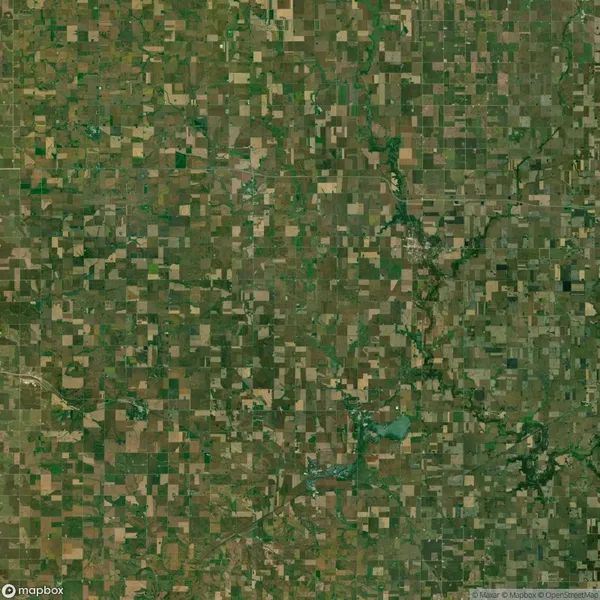 Satellite image of a rural area with a patchwork of green and brown agricultural fields, intersected by roads and small water bodies.