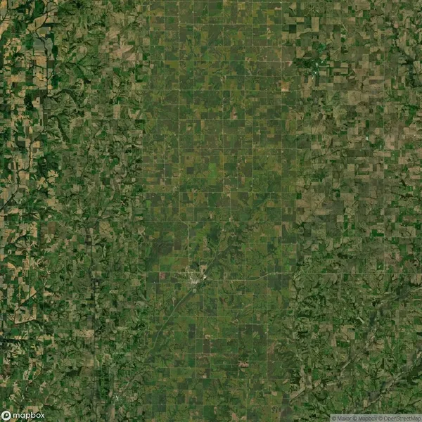 Aerial view of a landscape showing a grid pattern of agricultural fields surrounded by irregular patches of forest.
