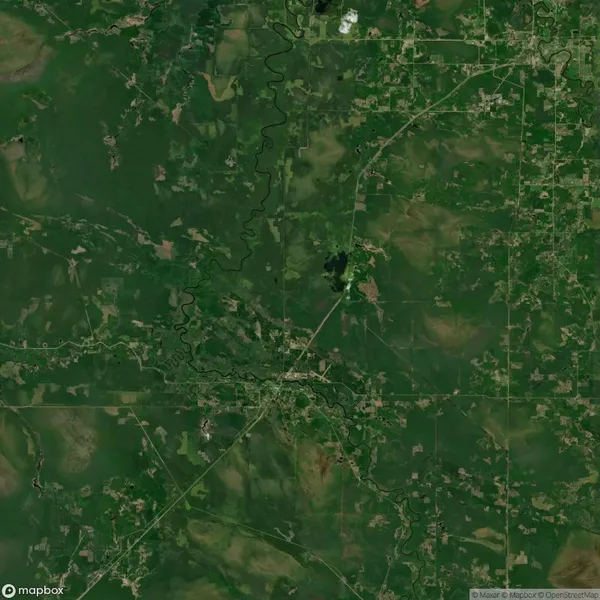 Aerial view of a vast, green, rural landscape with small roads, scattered fields, and patches of trees.