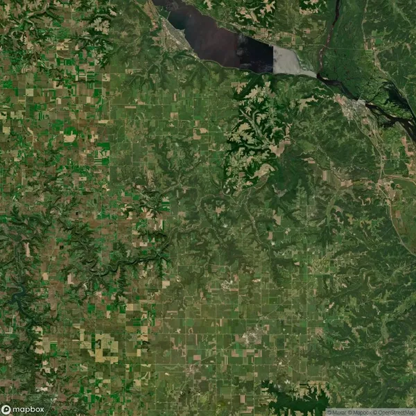 Satellite image showcasing a patchwork of green agricultural fields, a winding river, and a reservoir surrounded by forested areas.