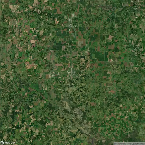 Satellite image of a rural area with a grid-like pattern of agricultural fields, patches of forests, and a river flowing diagonally across the lower part of the image.