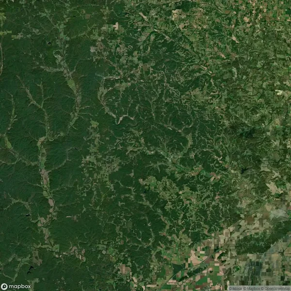 Aerial view of a dense forest landscape on the left with a patchwork of agricultural fields on the right.