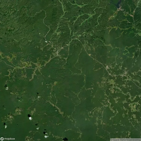 Satellite view of a densely forested area with a network of winding roads and visible deforested patches in a grid pattern.