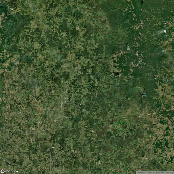 Satellite view of a densely forested area with scattered clearings, roads, and patches of developed land, displaying a mix of greens and browns.