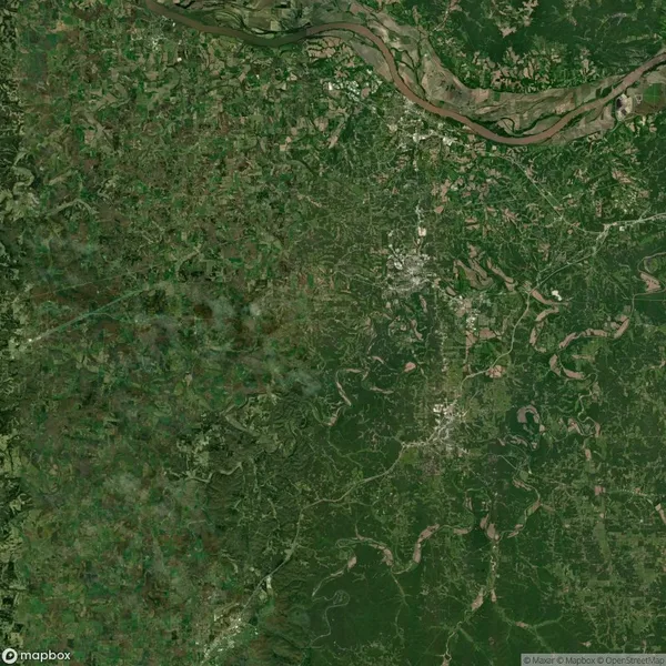Satellite view of a green and densely vegetated landscape intersected by a river at the top, with patches of urban development visible throughout.
