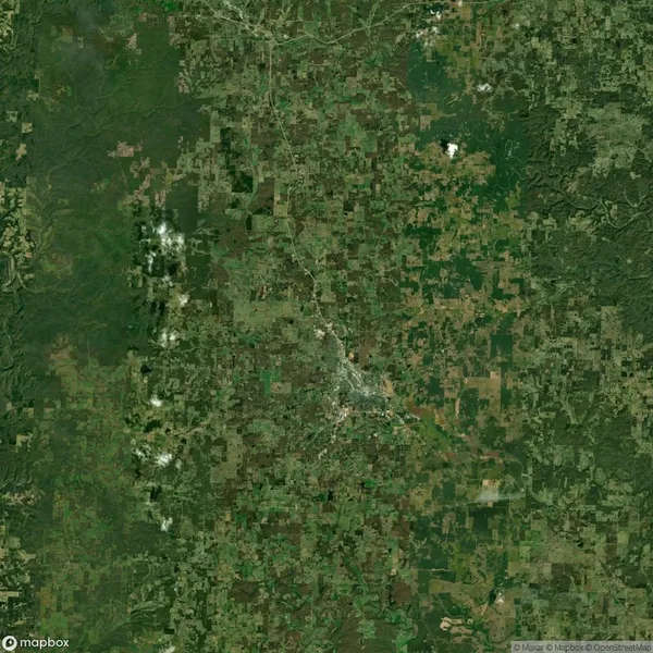 Satellite view of a landscape featuring a mix of green forested areas and lighter-colored agricultural fields, with a central town or city surrounded by a network of roads.