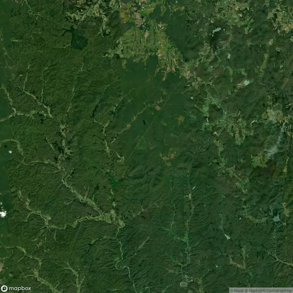 Aerial view of a densely forested landscape with scattered patches of lighter vegetation and winding water bodies.