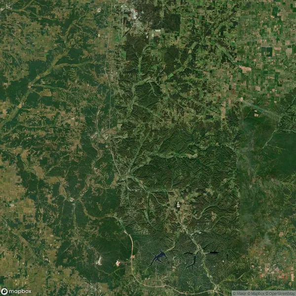 Aerial view of a large forested area surrounded by agricultural fields, with visible roads and sparse development.
