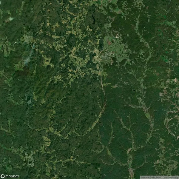 Aerial satellite view showing a densely forested region with scattered clearings and winding roads in Tennessee, USA.