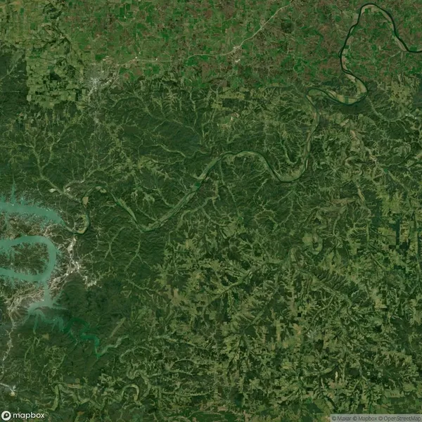Satellite image of a green, forested region with winding rivers and patches of lighter, cleared land, indicating rural development and farmland.