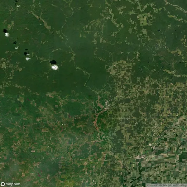 Satellite image showing a landscape with a large forested area on the left and a patchwork of farmland on the right. A few clouds are visible in the upper left corner.