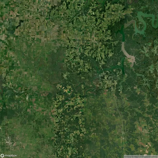 Aerial view of a green agricultural landscape with rivers and some scattered forested areas.