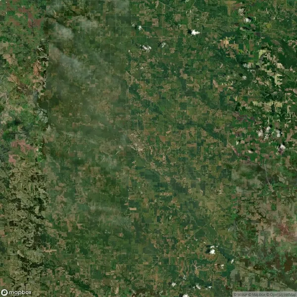 Aerial view of a vast green and brown patchwork of agricultural fields and sparse patches of forested areas, with a few scattered clouds.