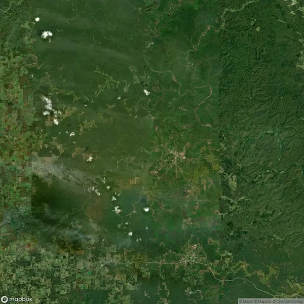 Satellite view of a green, forested landscape with patches of agricultural fields, roads, and scattered clouds.