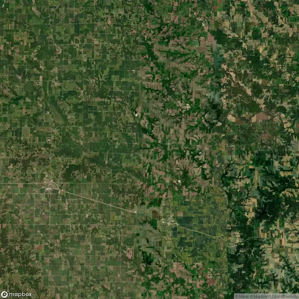 Satellite view of a rural landscape with rectangular fields, patches of forest, and a grid of roads.