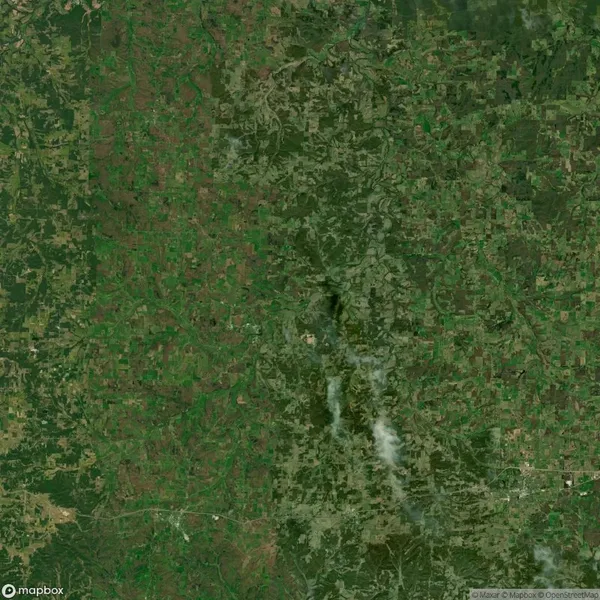 Aerial view of a landscape featuring large areas of green vegetation, with scattered patches of brown. A winding road and two isolated cloud formations are visible.