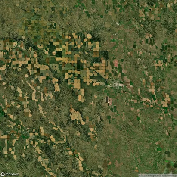 Aerial view of a landscape with numerous circular and rectangular agricultural fields in varying shades of green and brown.