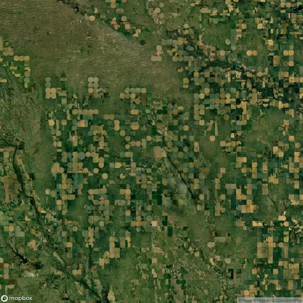 Satellite view of agricultural fields with circular and rectangular patterns, indicating pivot and traditional farming methods, scattered across a vast landscape.