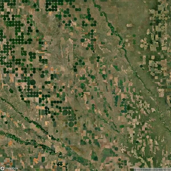 Aerial view of agricultural fields with circular and rectangular patterns, intersected by natural green waterways and patches of vegetation.