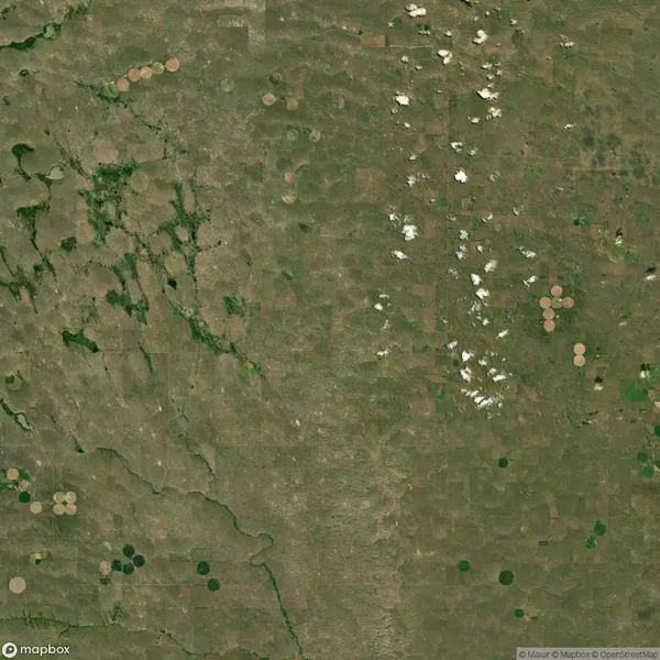 Satellite view of a rural landscape with numerous circular agricultural fields and patches of green vegetation.
