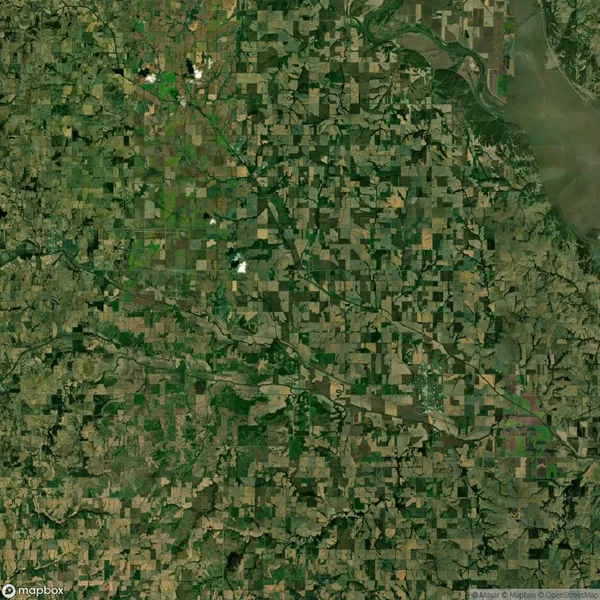 Aerial view of a patchwork landscape featuring numerous rectangular fields and a few winding rivers in a rural area. Sparse tree cover and varied shades of green and brown are visible.