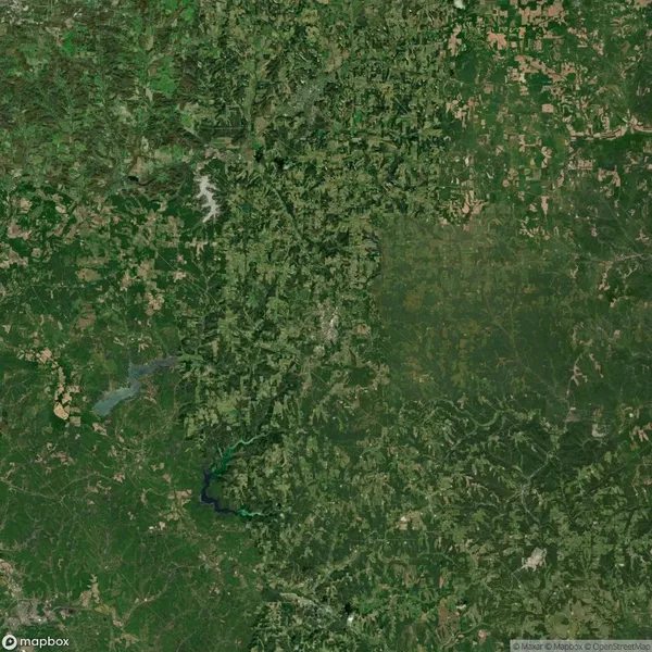 Satellite view of a large, forested area with a river running through it and small patches of cleared land.