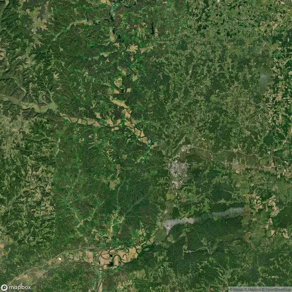 Satellite view of a rural landscape with dense green forests, fields, and a small town in the lower section, intersected by a river running vertically through the image.