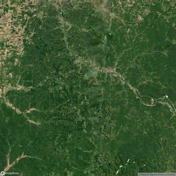 Aerial view of a landscape showing dense green forests on the right, contrasting with more open, patchy vegetation on the left, with visible roads and farmland patterns.