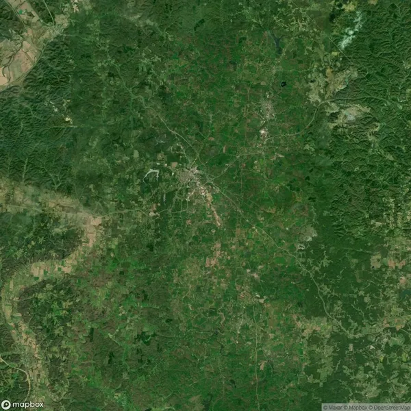 Satellite view of a lush green landscape with a central urban area and surrounding rural regions, displaying various shades of green and brown.