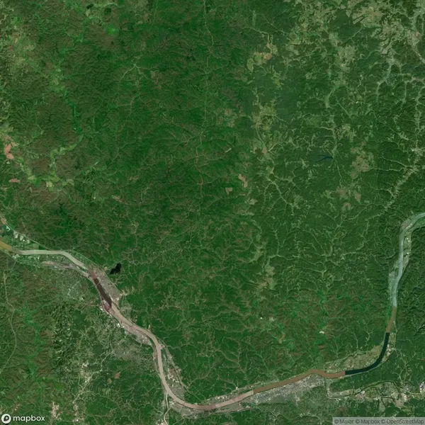 Satellite view of a densely forested area with multiple rivers running through it and scattered clearings.