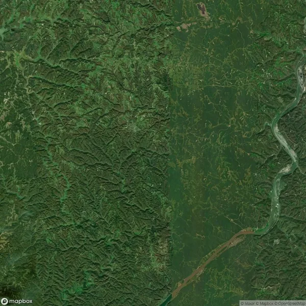 Aerial view showing a dense green forest on the left and a river with surrounding greenery on the right.