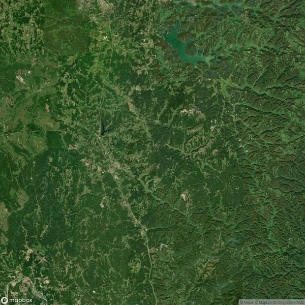 Aerial view of a densely forested landscape with visible roads and scattered clearings, alongside a winding river in the top right corner.