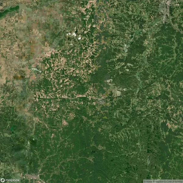 Aerial view of a vast, densely forested area with scattered patches of cleared land and a network of roads.