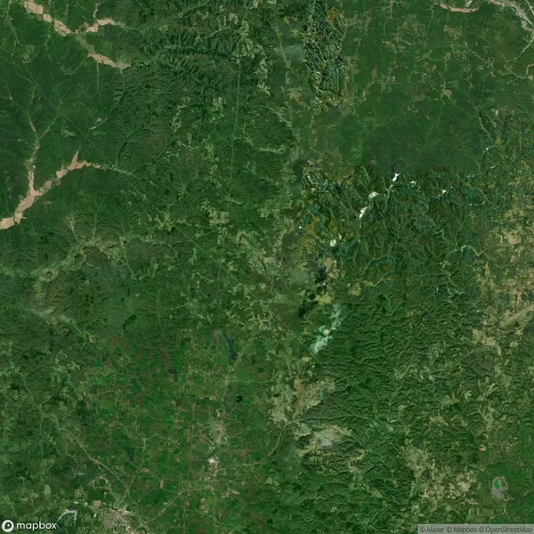 Aerial view of a dense green landscape with forests and fields, featuring winding paths and patches of lighter vegetation.