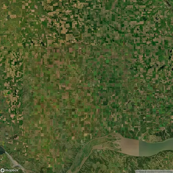 Satellite view of a large patchwork of agricultural fields in varying shades of green and brown, with a river running through the lower portion of the image.