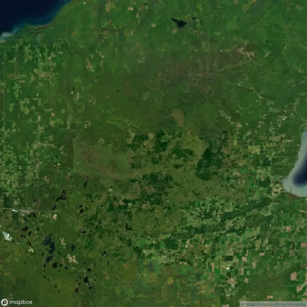 Satellite view of a large, predominantly green landscape with patches of lighter green and brown, indicating fields, forests, and some water bodies. A body of water is visible at the top.