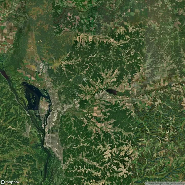 Aerial view of a landscape with a dense green forest, a river, and scattered urban areas surrounding it. Roads and clearings can also be seen throughout the region.